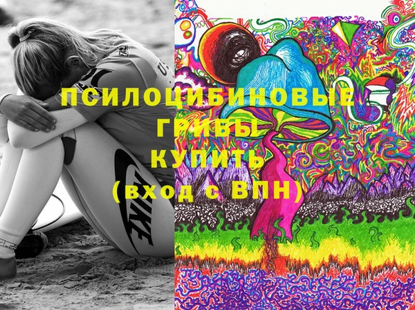 PSILOCYBIN Алексин