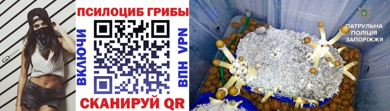 Галлюциногенные грибы ЛСД  Купить закладки  Бузулук 